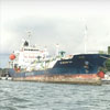 cover-image